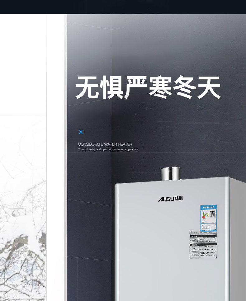 6614b4fc8af2c.jpg C290燃?xì)鉄崴?拷貝_14.jpg